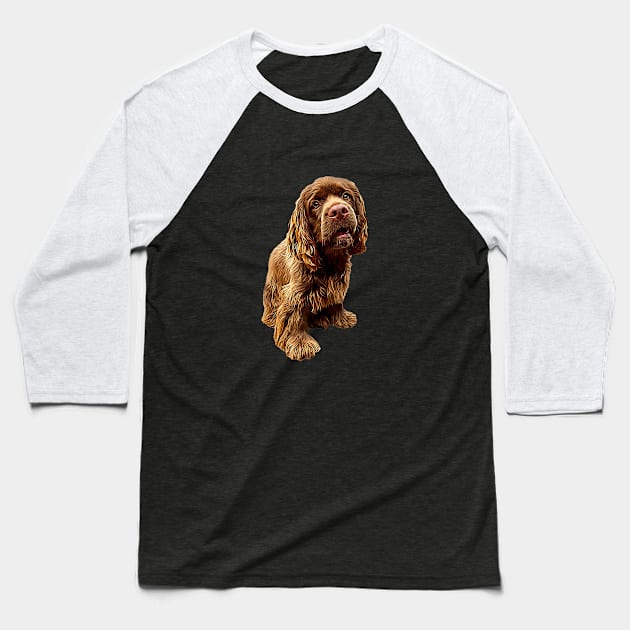 Sussex Spaniel Gorgeous Dog! Baseball T-Shirt by ElegantCat